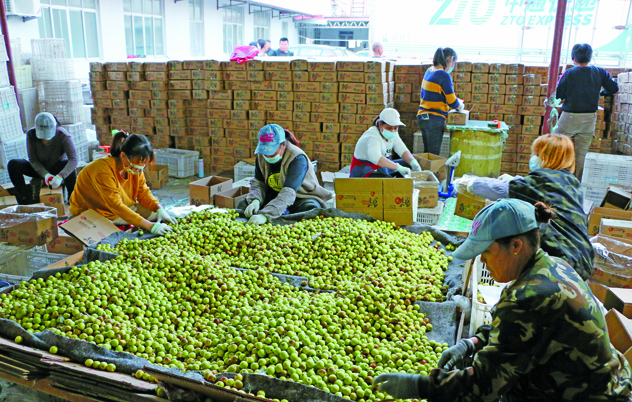 皇冠体育博彩